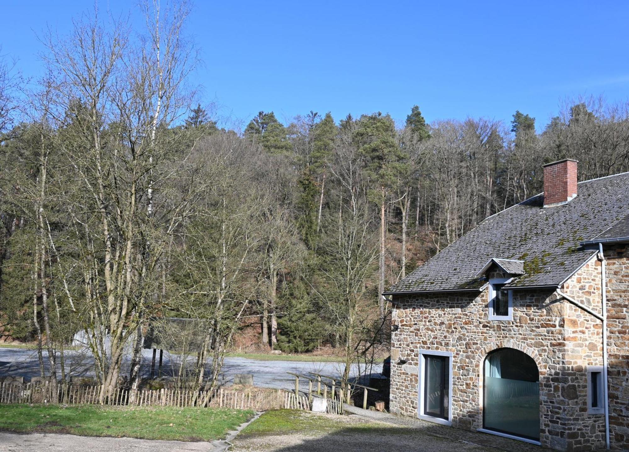 Le Moulin De Bosson - Ourasi Lägenhet Ferrières Exteriör bild
